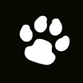 Glitter Tattoo Stencil - Paw Print