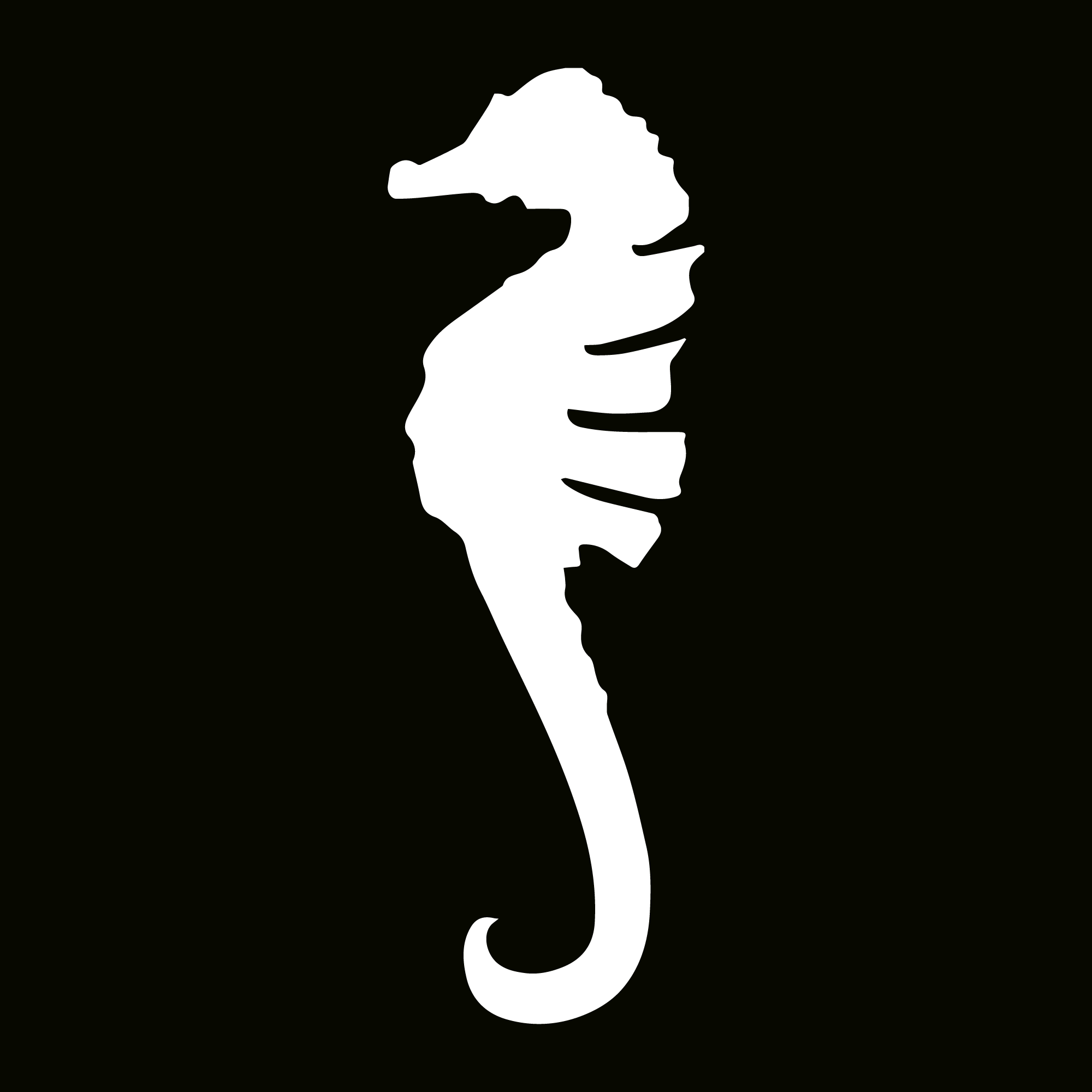 闪光纹身模板 - 海马