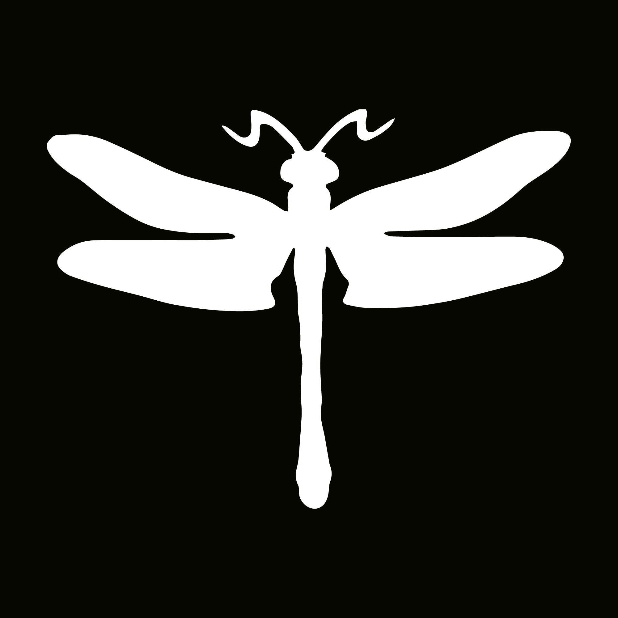 Glitter Tattoo Stencil - Dragonfly
