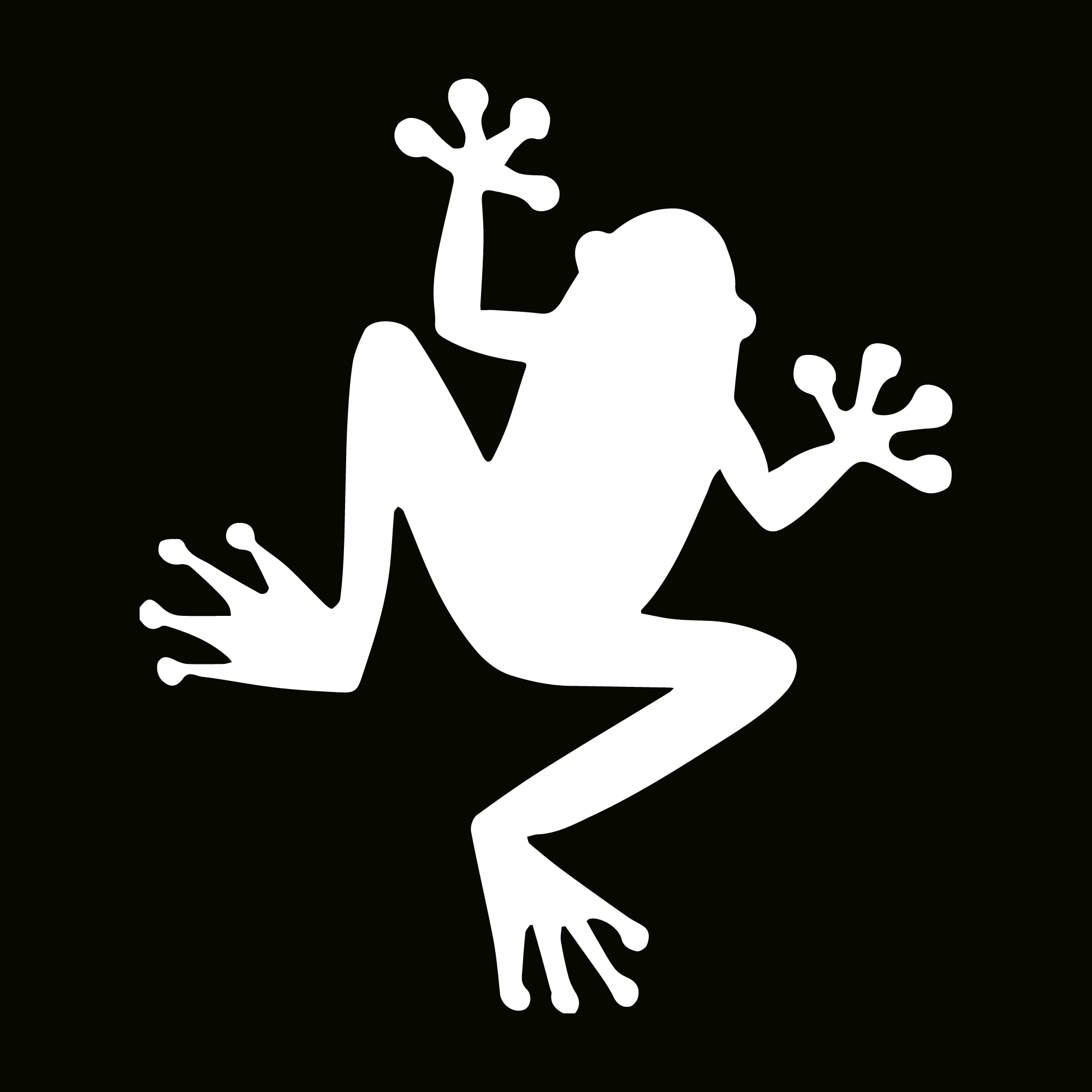 Glitter Tattoo Stencil - Frog