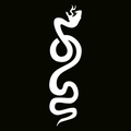 Glitter Tattoo Stencil - Skinny Snake