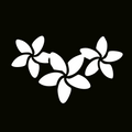 闪光纹身模板 - 鸡蛋花