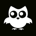 Glitter Tattoo Stencil - Cute Owl